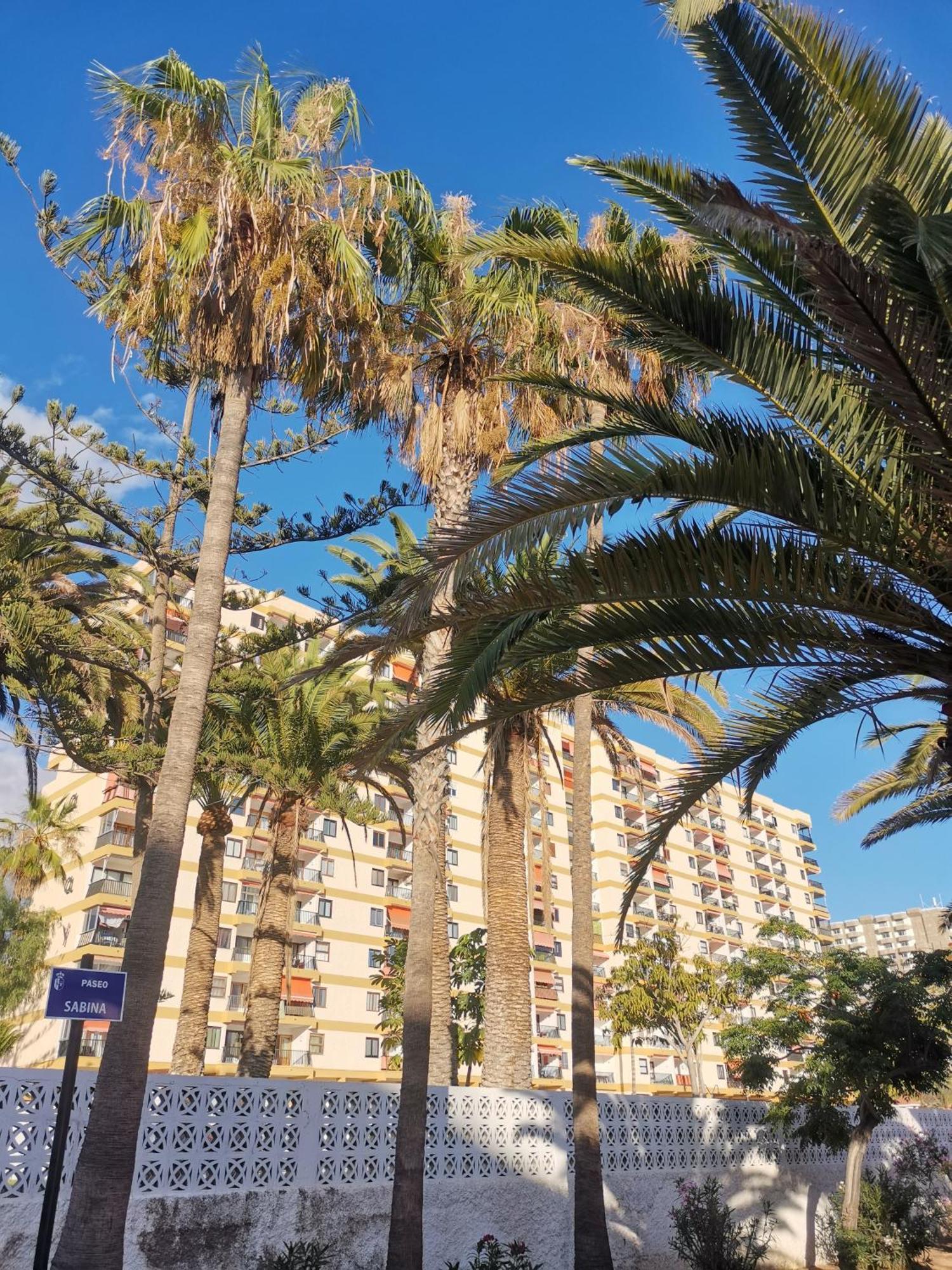 Los Cristianos Achacay Appartement Standing Vue Panoramique Exterior photo